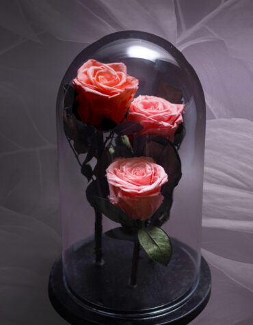 3 Trandafiri Criogenati Cupola Sticla 17x28cm