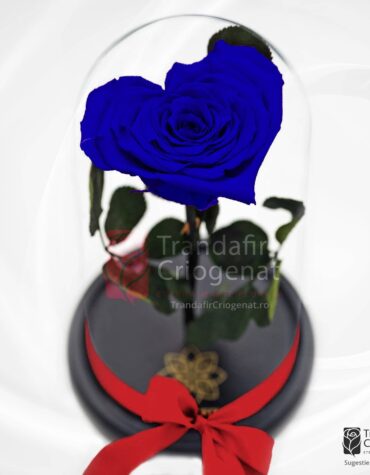 Trandafir Criogenat Inima Albastru